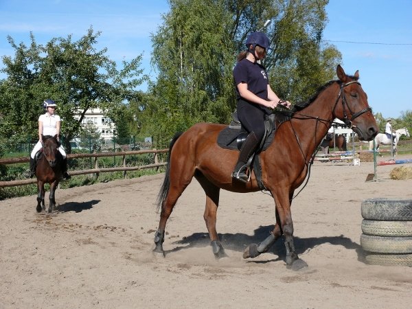 Babie Lato z Hucułami 2015